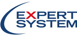 Expert System