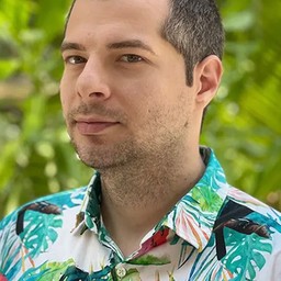 Radu Ionescu