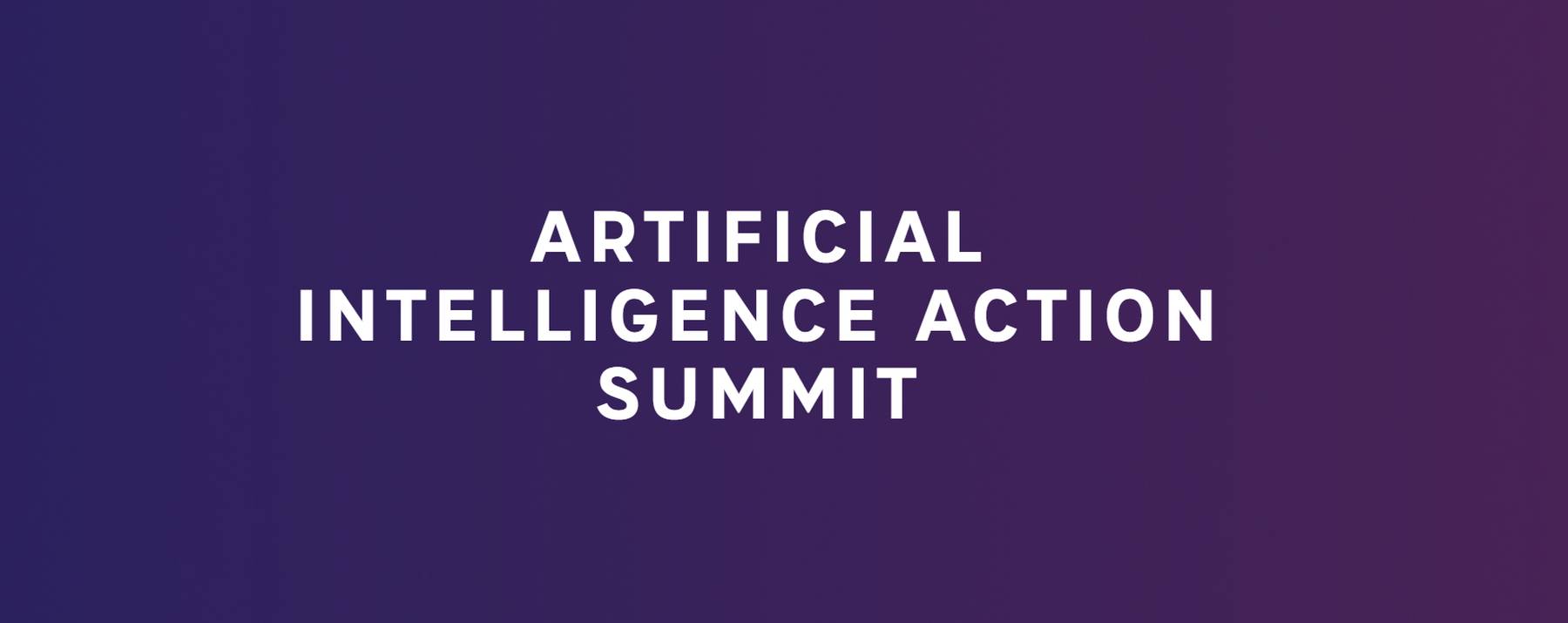 Artificial Intelligence Action Summit 2025