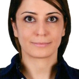 Shabnam Sadeghi Esfahlani