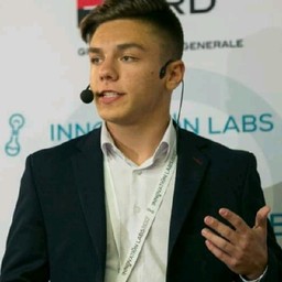 Mihai Mermezan