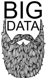 Big Data Beard