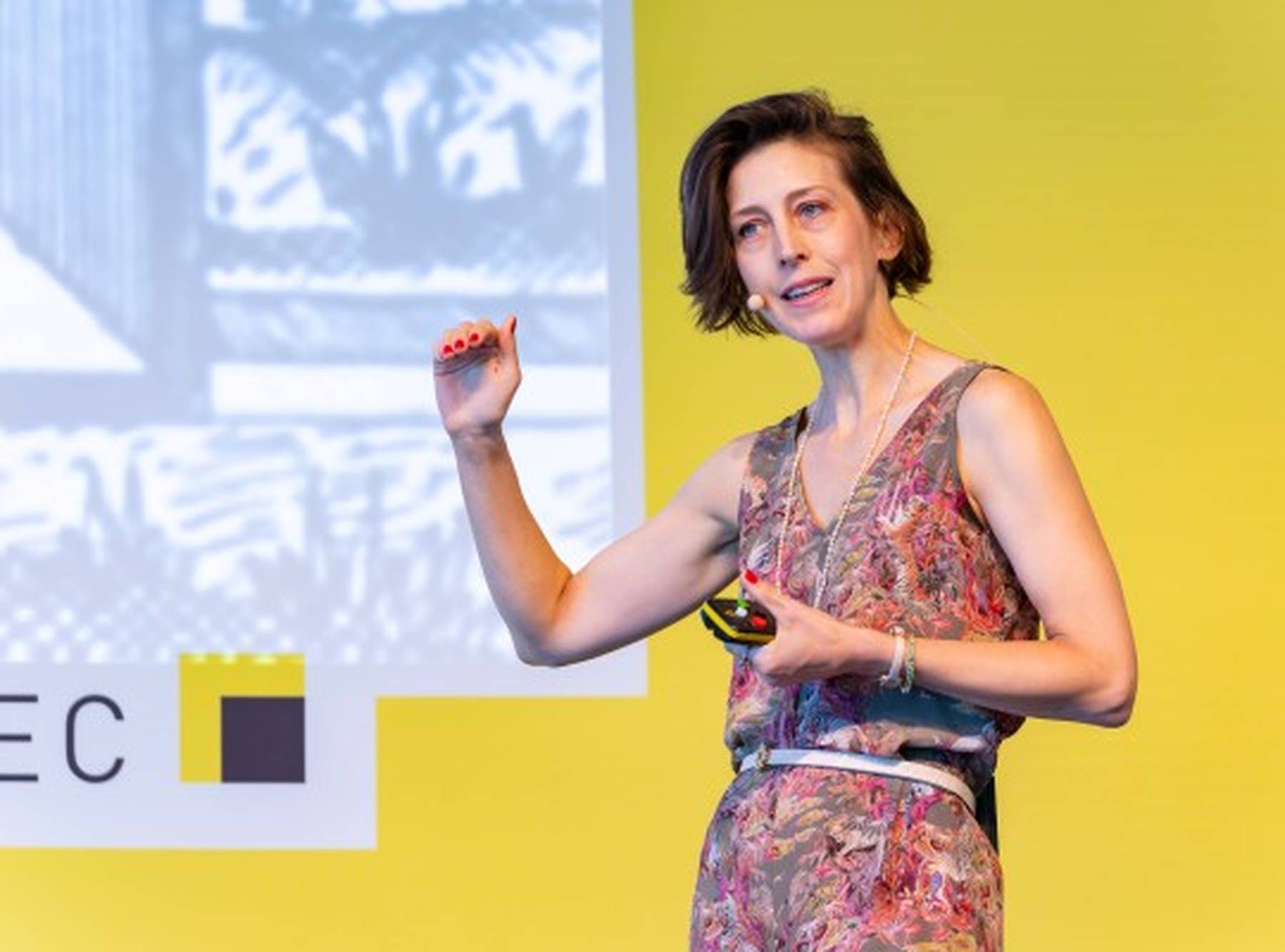 An expert gives a presentation 