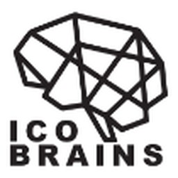 ICO Brains