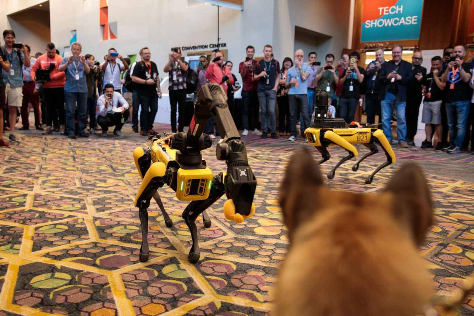 Boston Dynamics