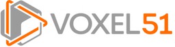 Voxel 51