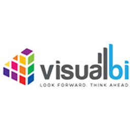 Visual BI Solutions